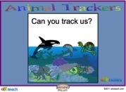 animal trackers